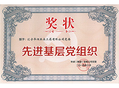 �Ƚ��²㵳��֯