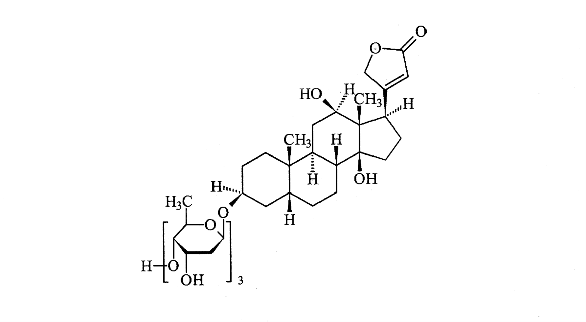 jiedoutu jiedoutu.png