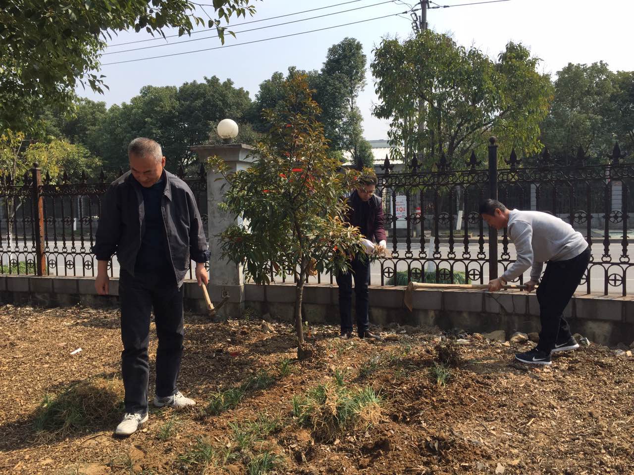 ��ͩ����������԰�����������������ж�-content1.jpg