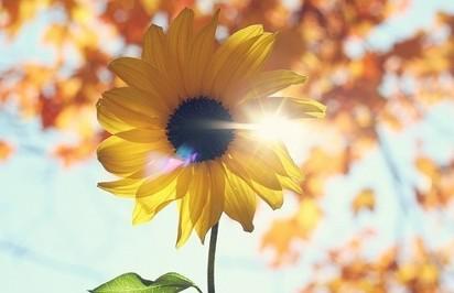 �������ʹ���-׷�󿵽�,����һ������